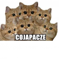 co ja pacze