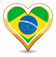 bluza serca brasil