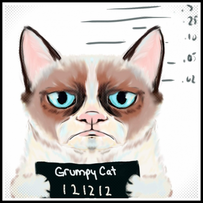 Grumpy Cat