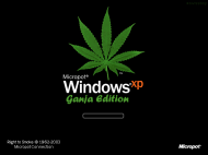 GANJA