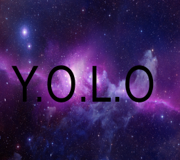 yolo