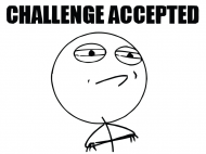 Challenge Accepted blouse