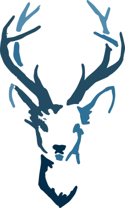 bluza z niebieskim rogaczem