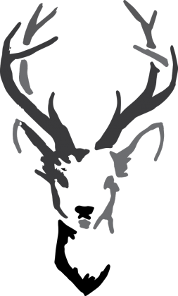 z jeleniem w terenie blue