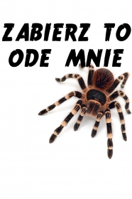 Zabierz to ode mnie - damska