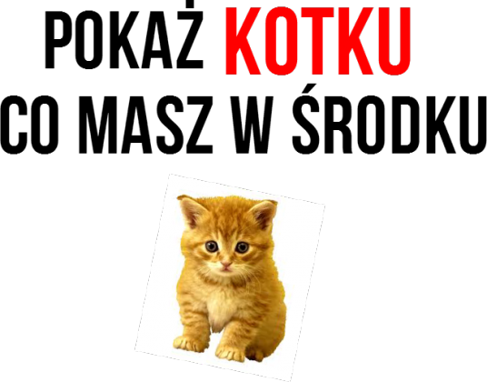 Fejm - kotek