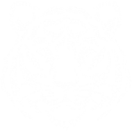 T-shirt - Tiger white