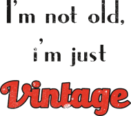 i'm not old, i'm just vintage- bluza