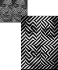 Bluza,fullprint,labiryntILUZJI