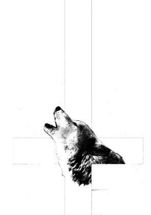 Cross-wolf top