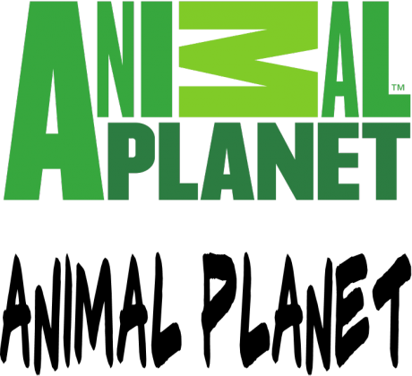 animal planet