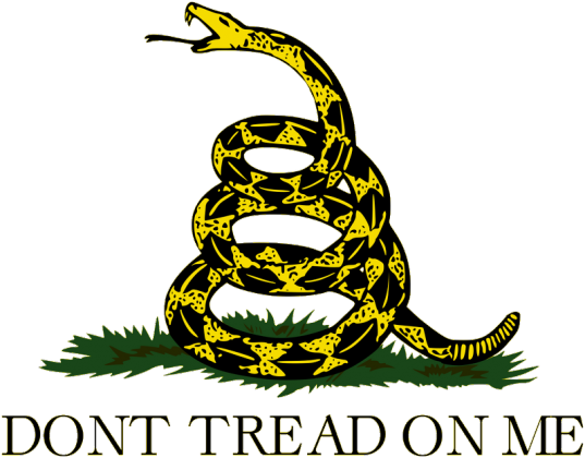 Gadsden Flag - koszulka damska