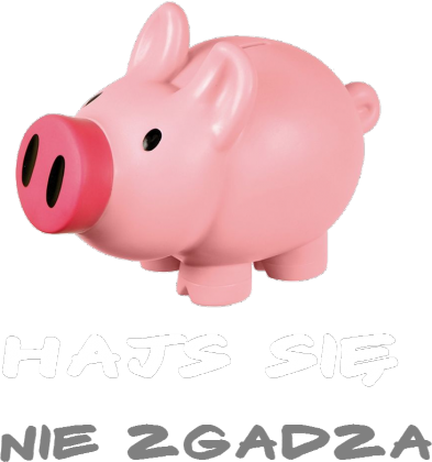 Hajs się nie zgadza (męska, czarna)