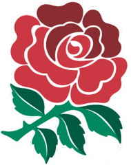 Koszulka z logiem Anglii Róża