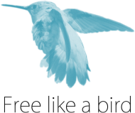 Free like a bird - WOMAN