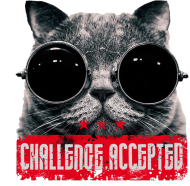 KOT CHALLENGE (WIELE KOLORÓW)
