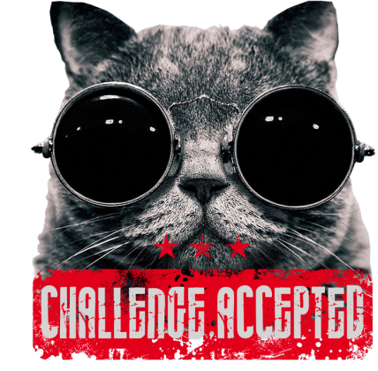 KOT CHALLENGE (WIELE KOLORÓW)
