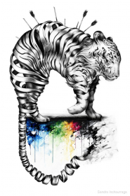 Koszulka Tygrys(laski)