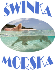 t-shirt świnka morska damski czarny