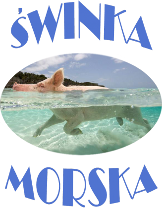 t-shirt świnka morska damski czarny