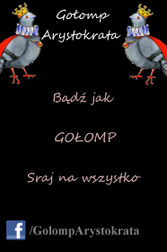Koszulka GOŁOMP ARYSTOKRATA "I" BLACK MĘSKA