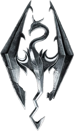 #B302 Skyrim Napis BLACK F+B