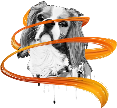 Torba King Chares Spaniel Cavalier