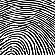 fingerprint 1