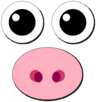 pigi