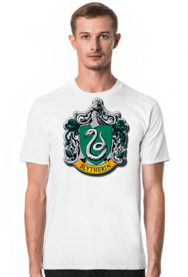 Hogwart Legacy Slytherin Harry Potter - Matiz Shop