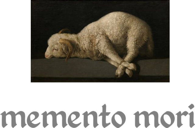 inconnent lamb