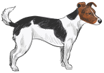 Czapka z daszkiem Jack Russell Terrier
