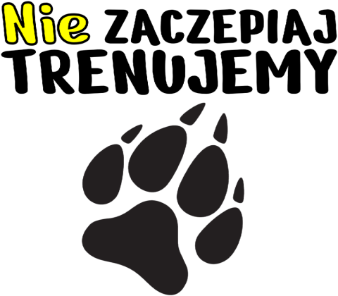 Koszulka Męska Nie zaczepiaj, trenujemy!