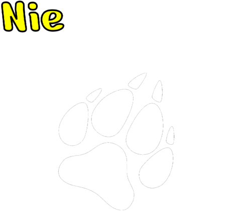 Koszulka Męska Nie zaczepiaj, trenujemy!