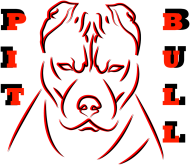 Bluza Pit Bull