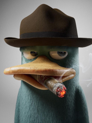 Koszulka detektyw kaczka