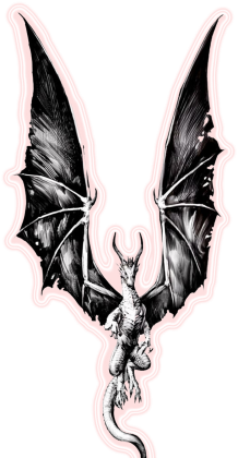 Biała bluza z nadruiem