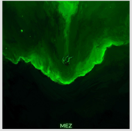 T-shirt MEZ ZIELONA PRZEPAŚĆ