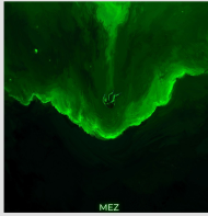 BLUZA MEZ ZIELONA PRZEPAŚĆ