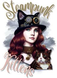Koszulka z motywem Steampunk