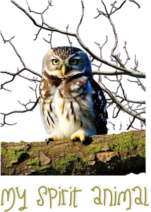 My Spirit Animal - Owl