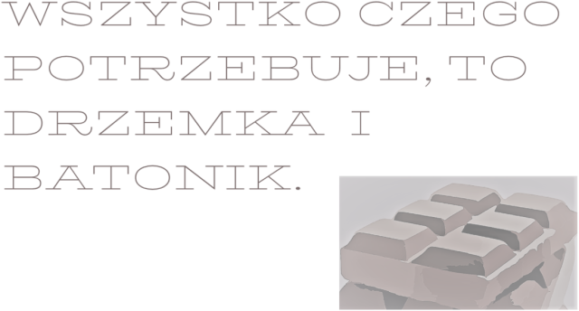Koszulka