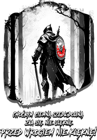 Bluza męska
