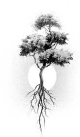 Koszulka Tree
