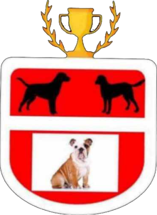TORBA FC SPOCONE BULDOGI