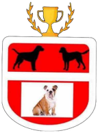 CZAPKA FC SPOCONE BULDOGI