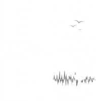 Birds make a good beat
