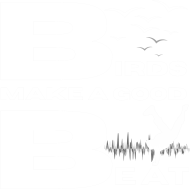 Birds make a good beat