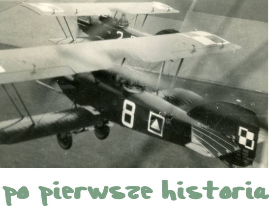 KOSZULKA MĘSKA
