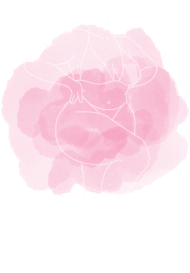 I'm perfect- bluza damska